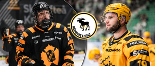 Månadens lirare i januari: Rösta på din favorit i Skellefteå AIK