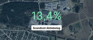 Guldår för Scandivet Aktiebolag – högsta vinstmarginalen på 4 år