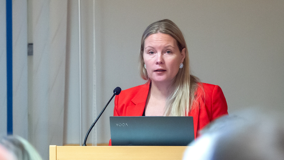 Marianne Sandström (SD). Rättsexperten Olle Lundin tror inte att hennes förfarande rent juridiskt är jäv, men tillägger att det bryter mot regeringsformens krav på opartiskhet