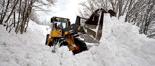 Snöbudgeten höll