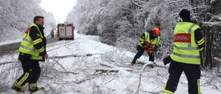 Efter snöovädret: "Träden bara rasar ner"