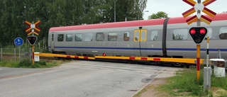 Tåg krockade med träd - Stopp på hela Stångådalsbanan