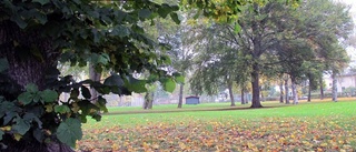 Två skäl att bygga vid Brunnsparken