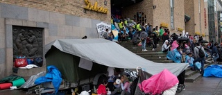 Protester inget skäl för asyl