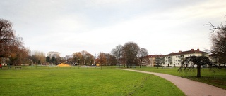 Ung kvinna rånades i Vasaparken