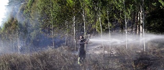 Därför används inte branddammar