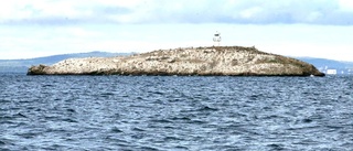 Båt sjönk i Vättern - man fick simma iland