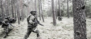 S är otydligt om försvaret