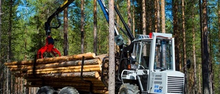 Tar över försäljningen av skogsmaskiner