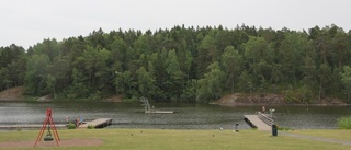 Gässen har lämnat badet