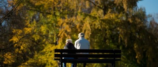 Så kan Gränbyparken bli bättre