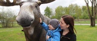 Nu öppnar älgdagiset