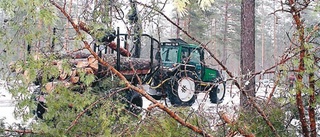 Avverkning på Slätten