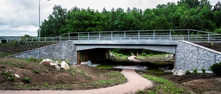 Gottsunda allé sämre cykelväg