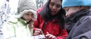 Naturen som hjälpmedel i skolan