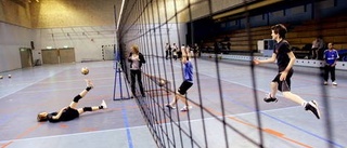 Aldrig för sent att lära sig volleyboll