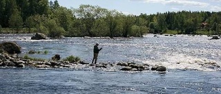 Nationalpark firade tio år