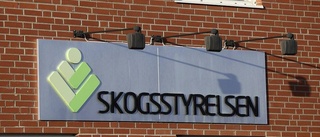 Varsel på Skogsstyrelsen – fem förlorar jobbet i Norrbotten