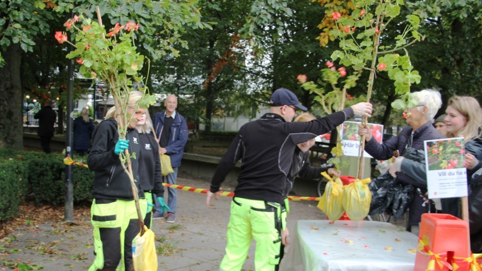 Fredagen den 30 september är det dags för årets upplaga av utdelning av stampelargoner i Carl Johans park.