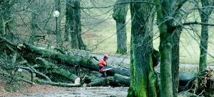 Varning för att röja på egen hand