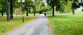 Stadsparken ska vara en plats för promenad