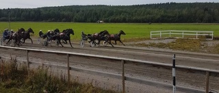 Hemmakuskarna spårade i 2-års