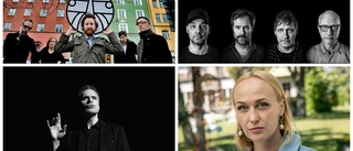 Fullspäckad konserthöst: Här är artisterna som kommer