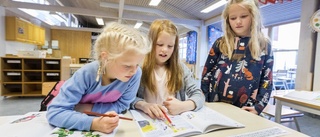 Ingen drar ner på skolan och förskolan