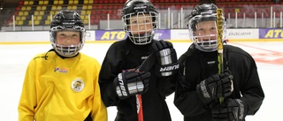 Rekordmånga deltagare på hockeyns uppstartsläger • "Vi är som en stor hockeyfamilj"