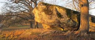 Hvalstaskogen blir naturreservat