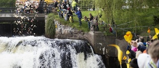 Livlig barkbåtsfärd ner för ån