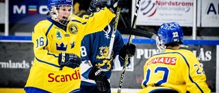 Nyköpingstjejer spelar hockeyfinal