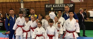 Nio medaljer till Karate Dojo