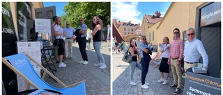 Ankarsrumsföretag intog Visby och Almedalen • Företagaren: "Politik och företagande går hand i hand"