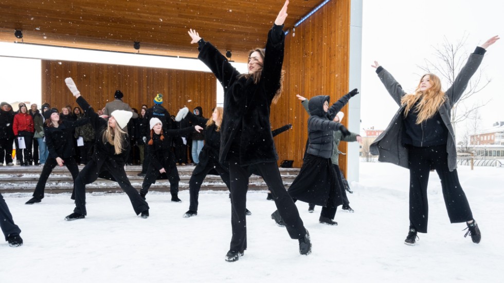 Kungaparet ska besöka Luleå och estetiska programmets danselever ska uppträda för dem i Stadsparken.