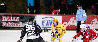 Sundquist showade när Kalix Bandy vann