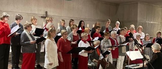 Qvinnokören Lapponica höll julkonsert