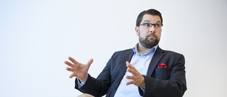 Åkesson: Ingen mänsklig rättighet att bo här