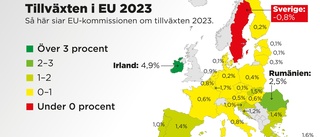 Prognos: Svensk tillväxt lägst i EU