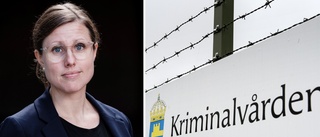 Kriminalvårdens expert: Därför sker sexualbrott