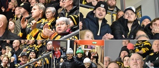 VIMMEL: Se vilka som var på plats i Skellefteå Kraft Arena – när AIK mötte Timrå