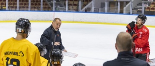 Folkets dom: Så går för Luleå Hockey i vinter • Trotjänaren om galna sviten: "Vad sjukt!"