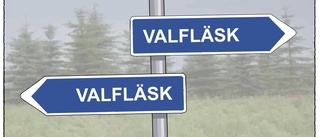 Valfläsk på räls