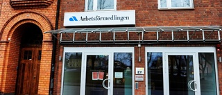 Färre unga utan arbete