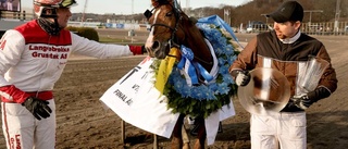 Redéns duo redo för Elitloppet