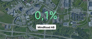 Datakonsulterna i Linköping på rätt sida strecket