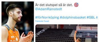 TV: Kolla in Dolphins-stjärnans perfekta skott