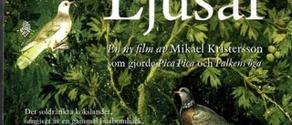 "Ljusår" visas igen - på bästa sändningstid