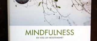 Mindfulness - en bok som kan vara till stor hjälp