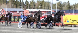 Skellefteåtravet: Stor succé för hemmahästarna – dominerade fullständigt med fem fullträffar